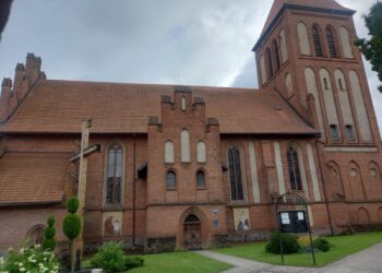 zobrazhennia_viber_2025-07-23_15-58-22-383